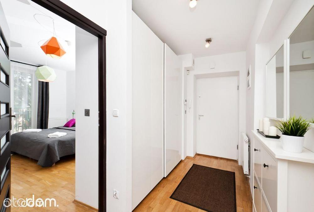 Cozy & Big Rooms In Old Town 크라쿠프 외부 사진